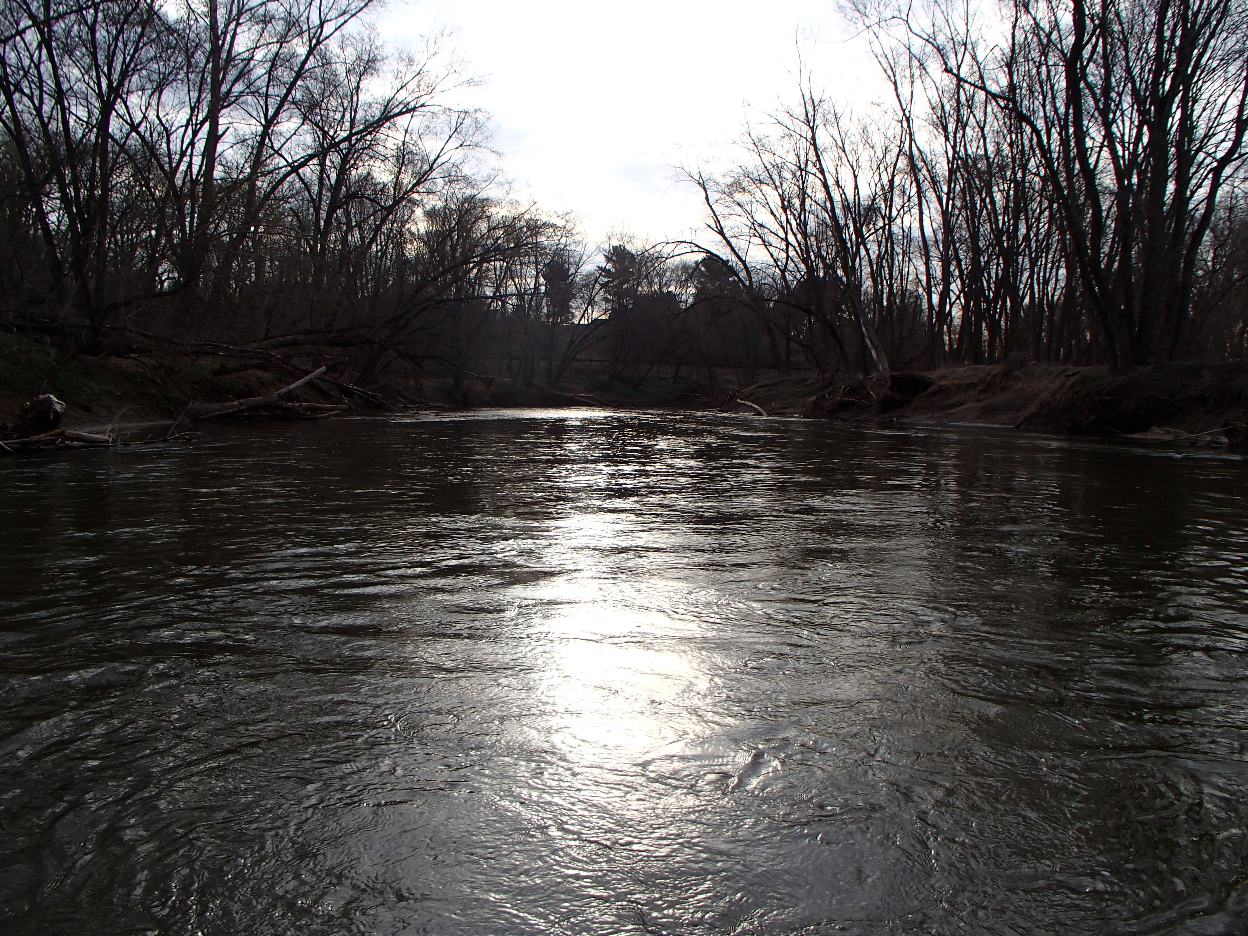 Field photo showing stream conditions at site PATL-B02-X-2016_midpoint looking downstream